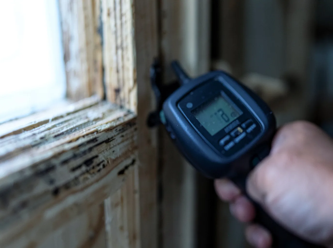 Moisture Inspection And Documentation in Allamuchy, NJ